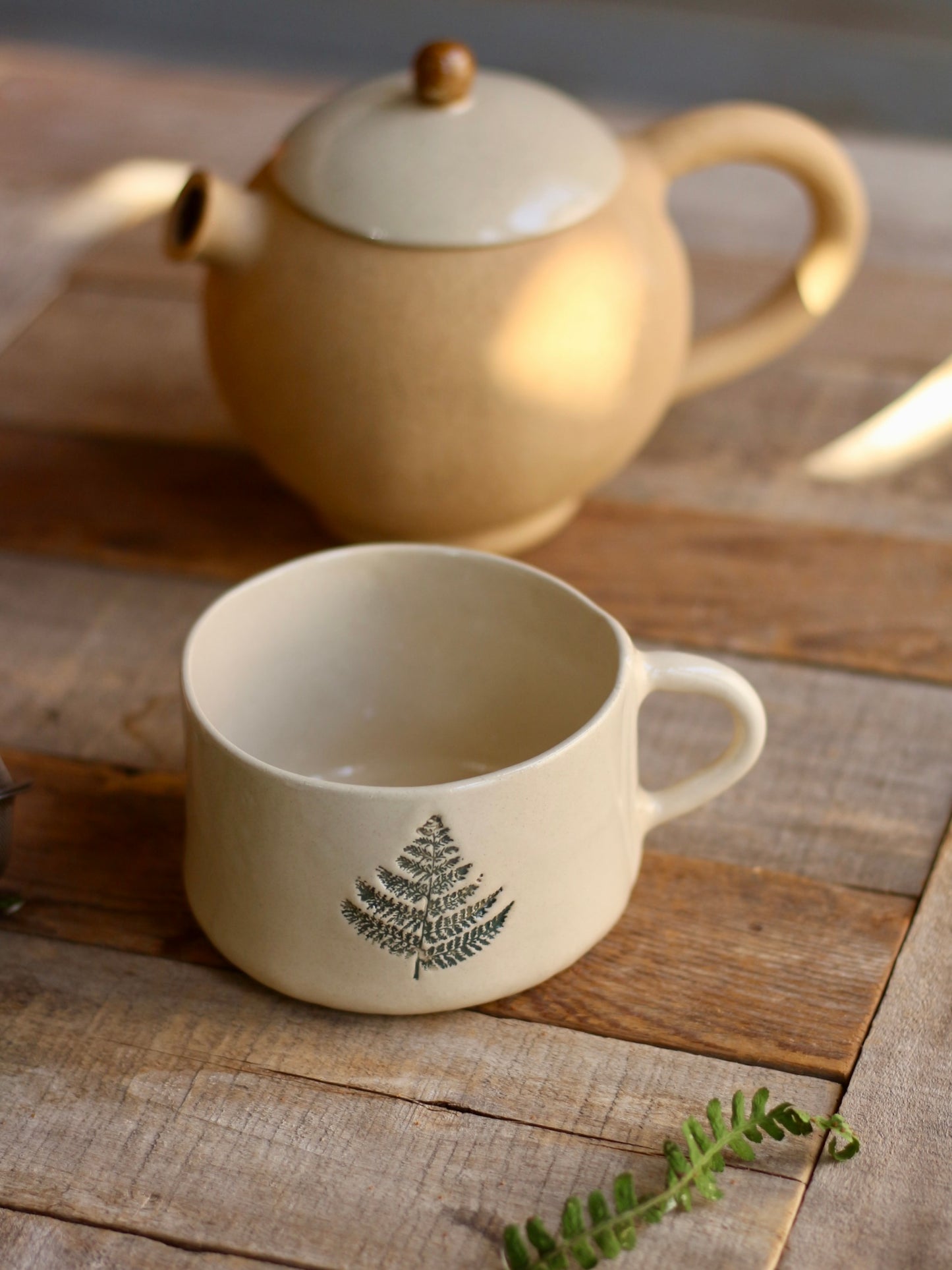 Tazza felce