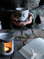 Tazza Iside