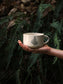 Tazza felce
