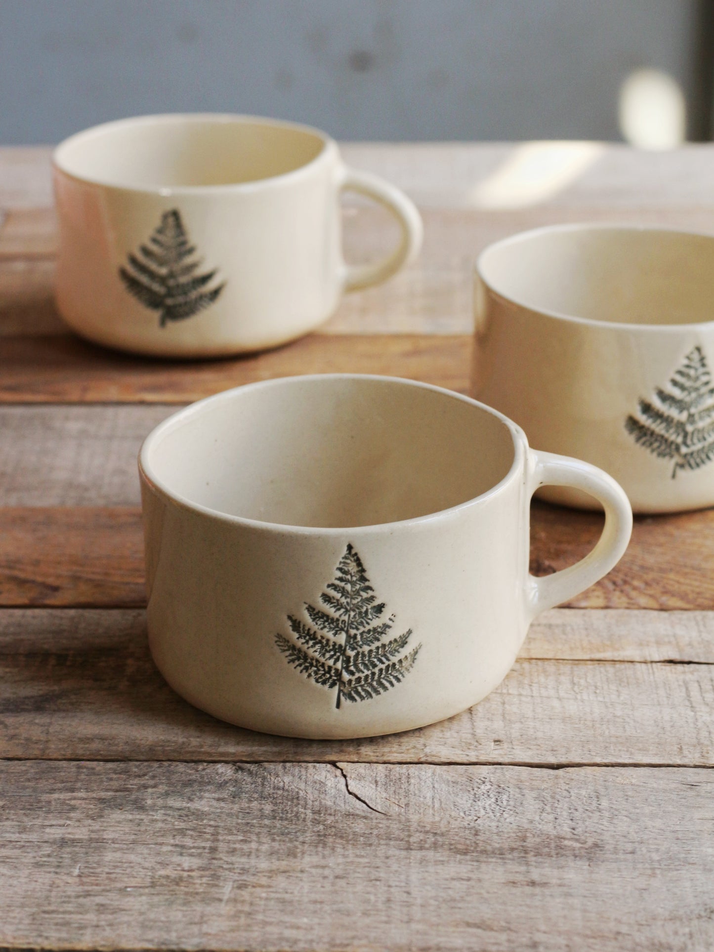 Tazza felce