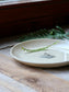 Piatto dessert felce